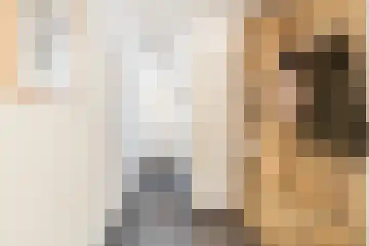 IJsseloord 34 Woerden thumbnail 4