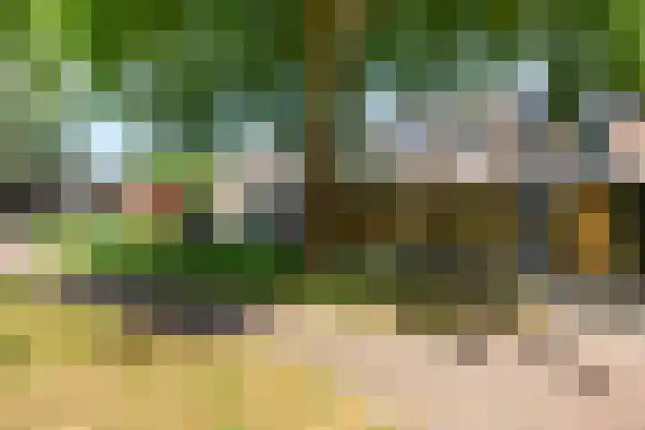 IJsseloord 34 Woerden thumbnail 44
