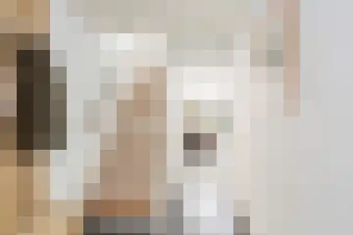 IJsseloord 34 Woerden thumbnail 5