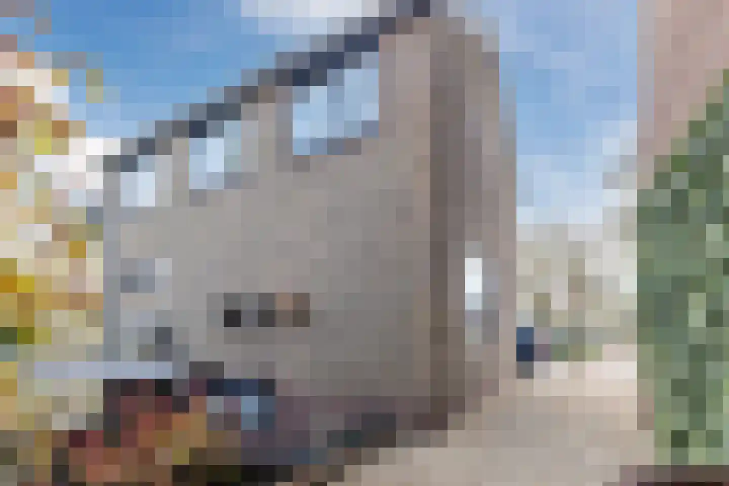 IJsselplein 1 Montfoort thumbnail 30