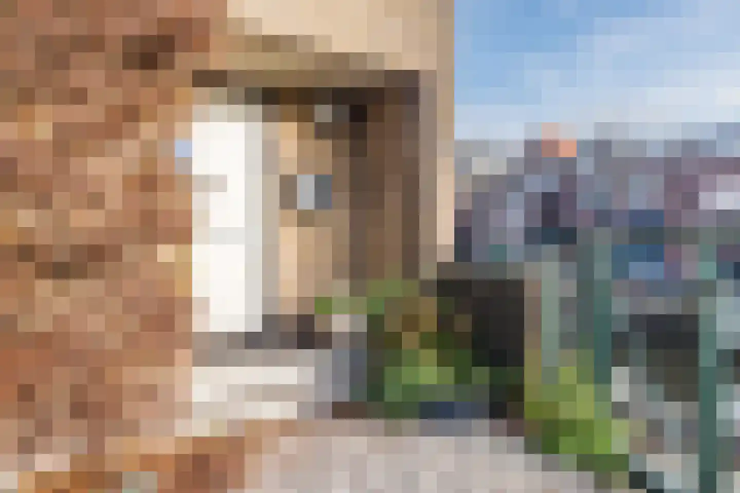 IJsselplein 1 Montfoort thumbnail 5