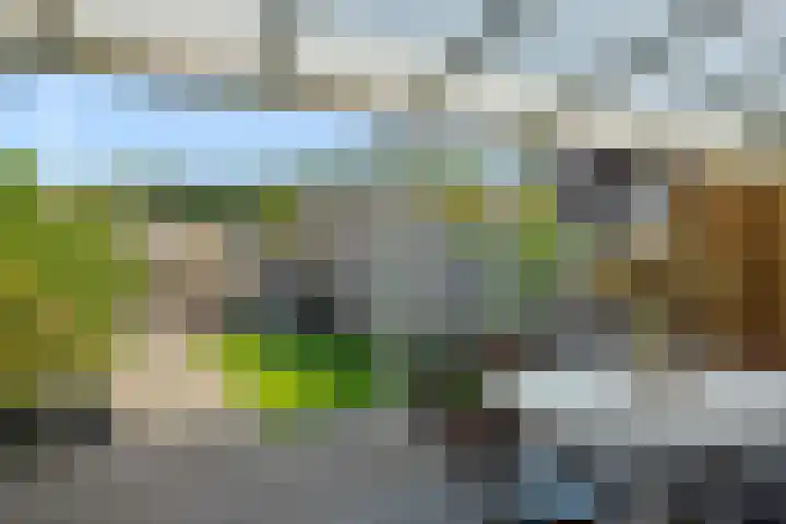 IJsselplein 36 Helmond thumbnail 30