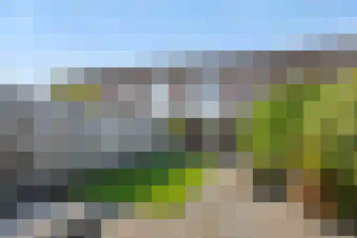 IJsselplein 36 Helmond thumbnail 33