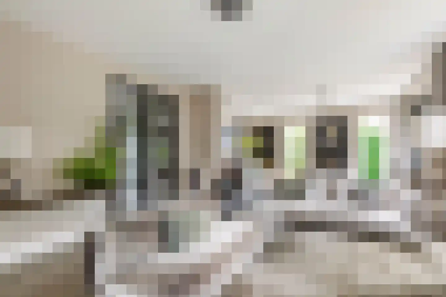 IJsselpolder 2 Houten thumbnail 13