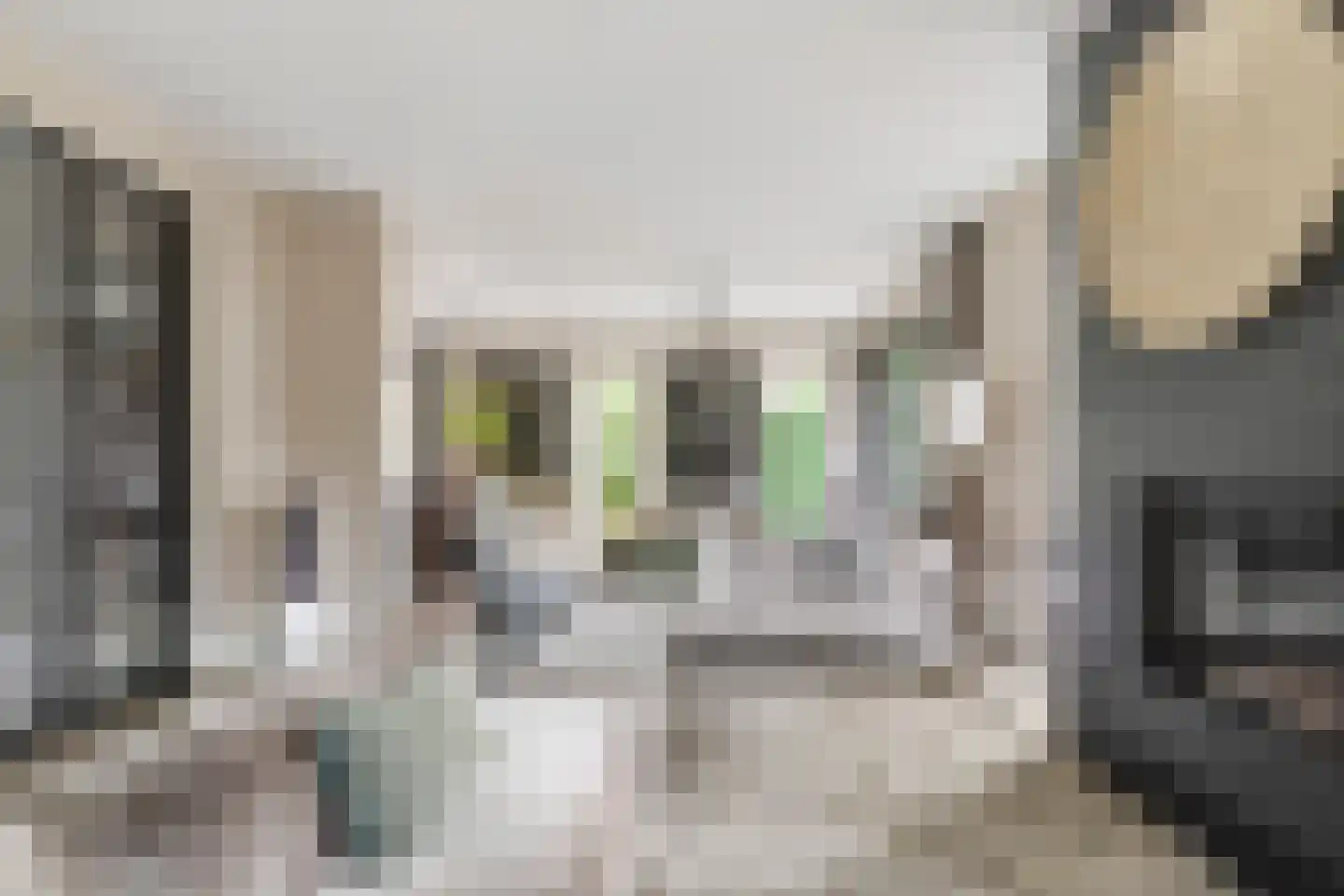 IJsselpolder 2 Houten thumbnail 15