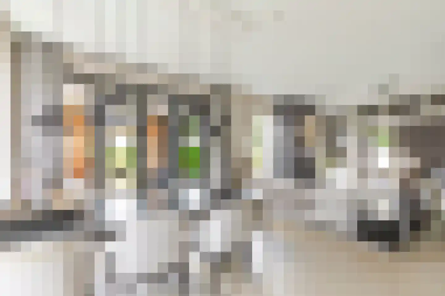 IJsselpolder 2 Houten thumbnail 20