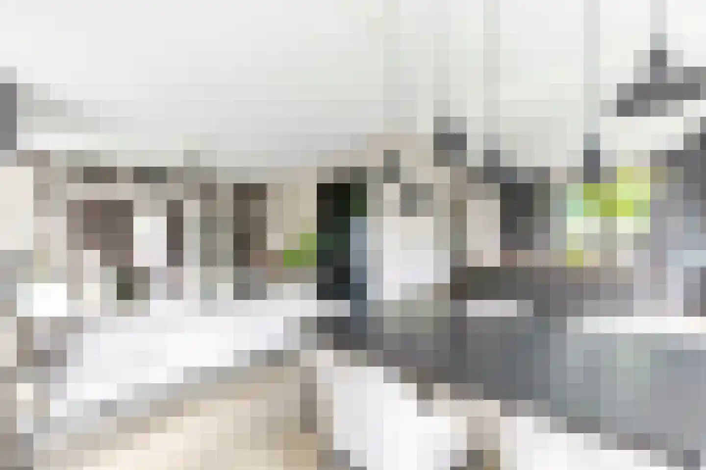 IJsselpolder 2 Houten thumbnail 21