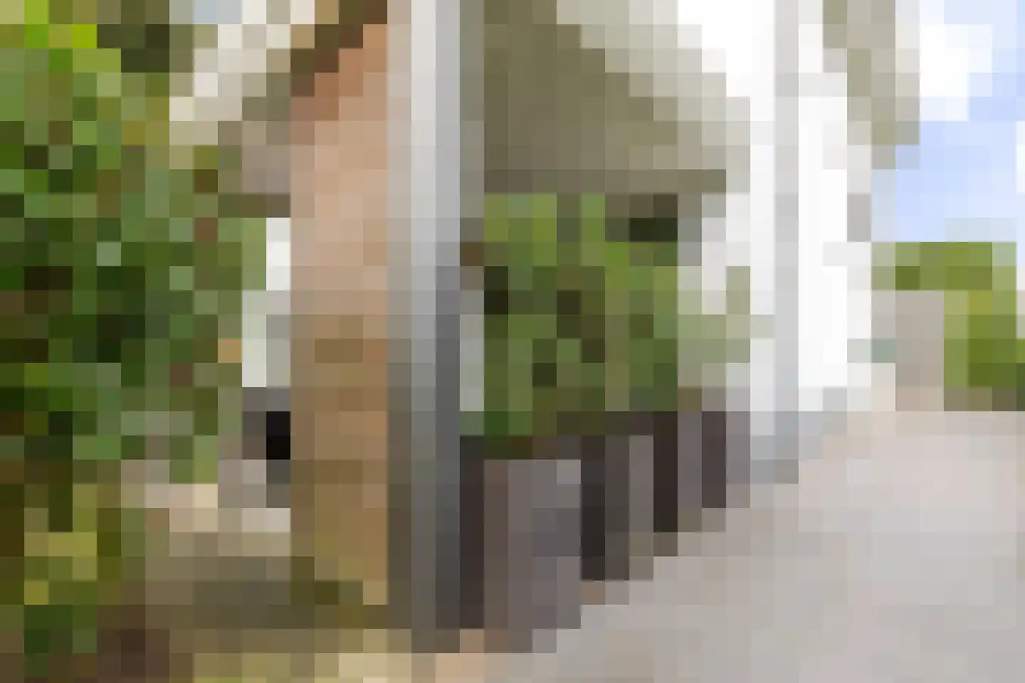 IJsselpolder 2 Houten thumbnail 30