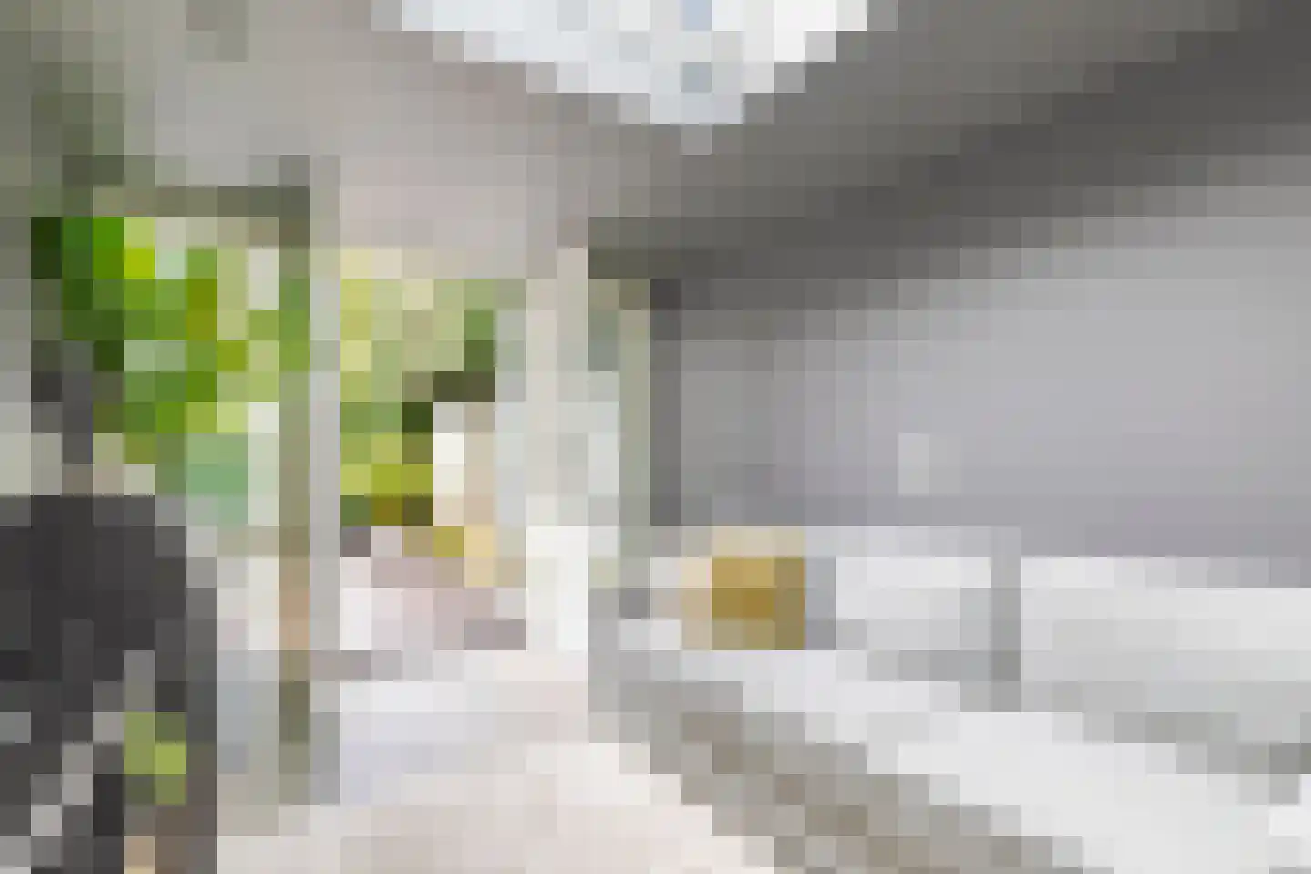 IJsselpolder 2 Houten thumbnail 41