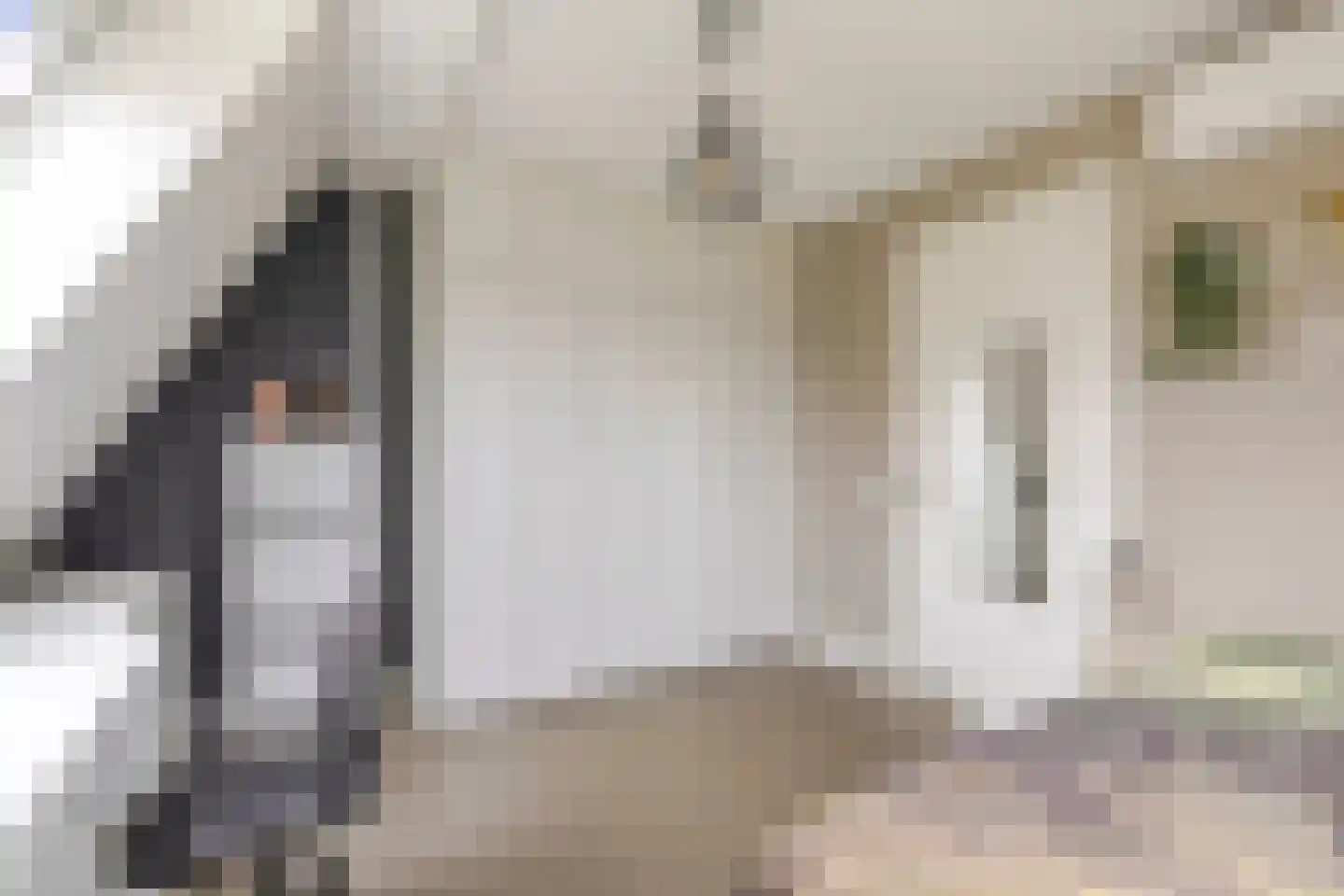 IJsselpolder 2 Houten thumbnail 59