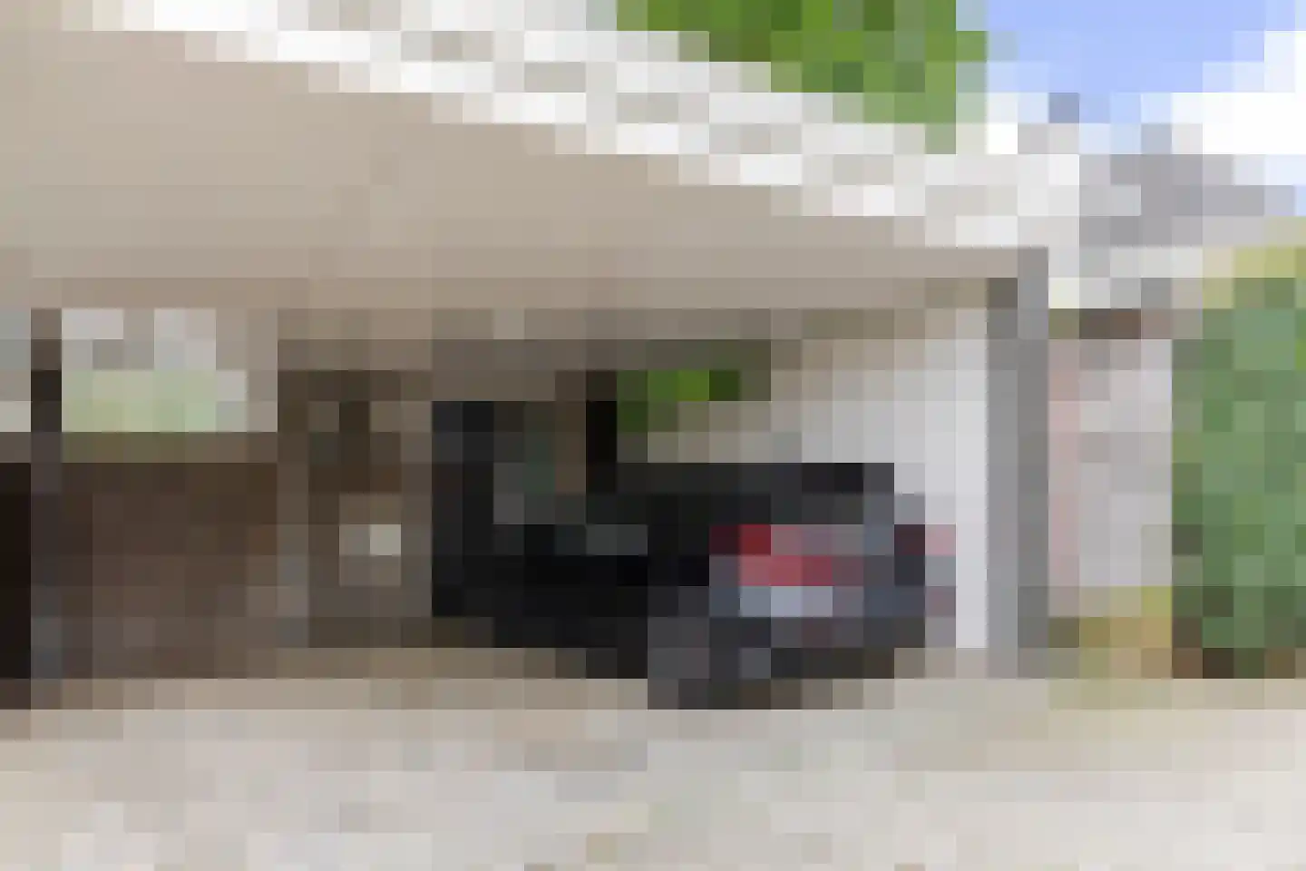IJsselpolder 2 Houten thumbnail 65