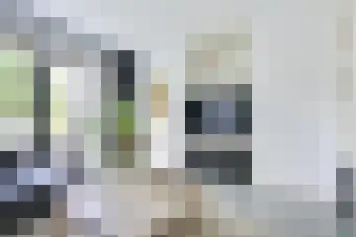 IJsselpolder 4 Houten thumbnail 10
