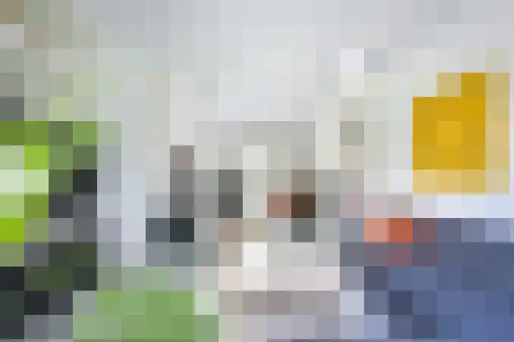 IJsselpolder 4 Houten thumbnail 11