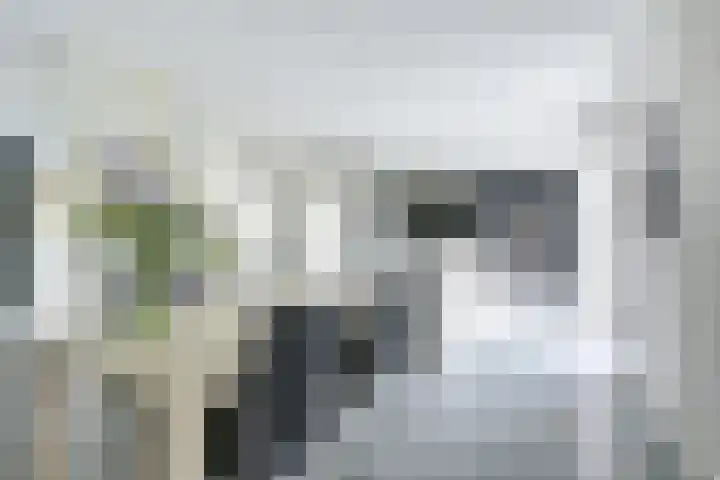 IJsselpolder 4 Houten thumbnail 13
