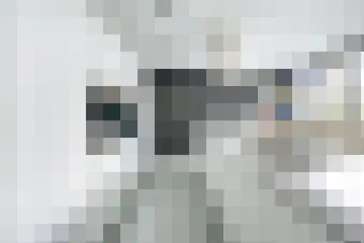 IJsselpolder 4 Houten thumbnail 15