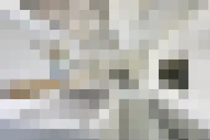 IJsselpolder 4 Houten thumbnail 17