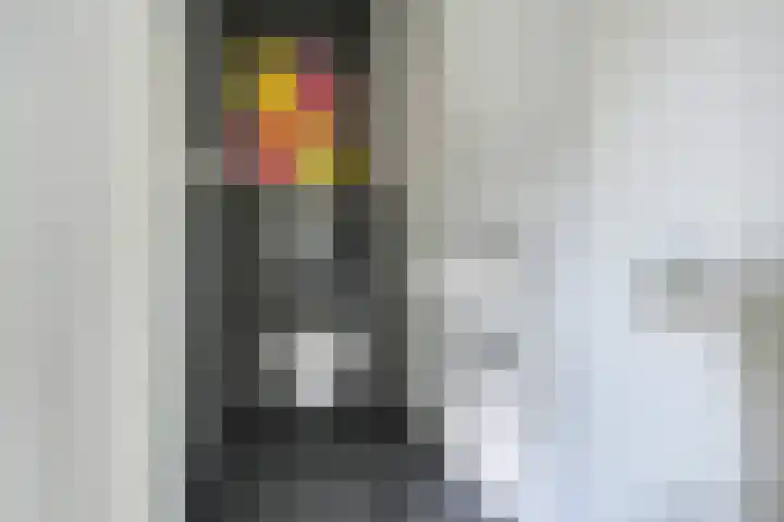IJsselpolder 4 Houten thumbnail 29