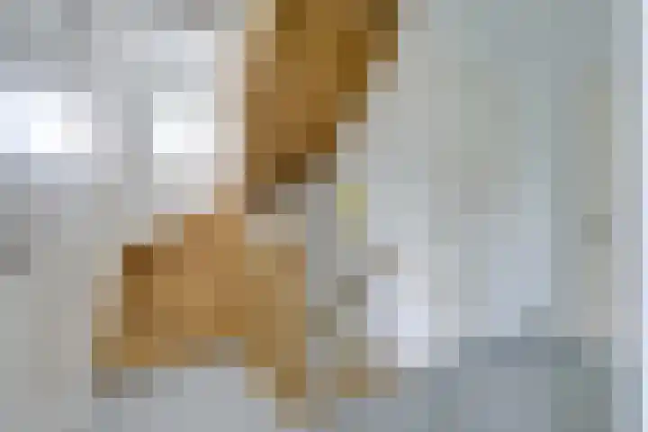 IJsselpolder 4 Houten thumbnail 30
