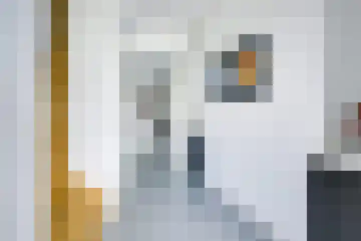 IJsselpolder 4 Houten thumbnail 4