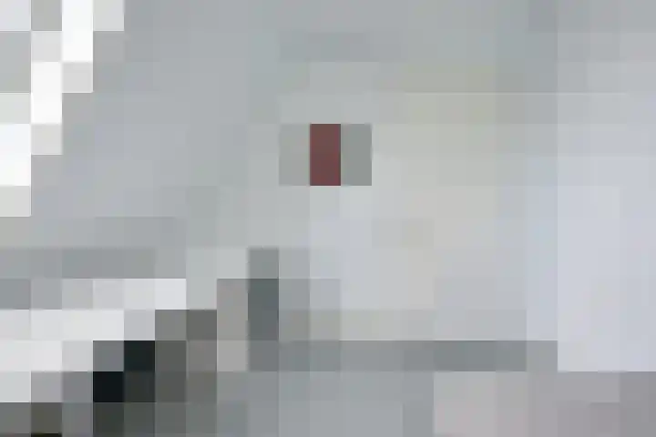 IJsselpolder 4 Houten thumbnail 45