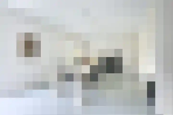 IJsselpolder 4 Houten thumbnail 5