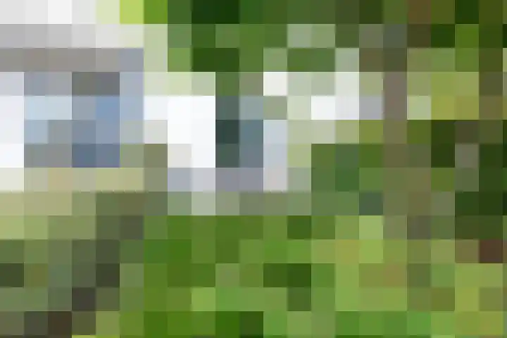 IJsselpolder 4 Houten thumbnail 58