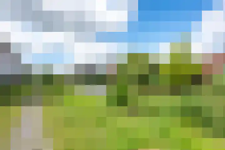 IJsselpolder 4 Houten thumbnail 59