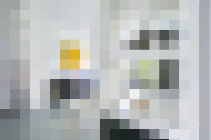 IJsselpolder 4 Houten thumbnail 7