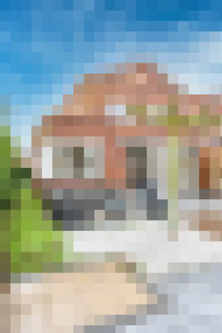IJsselpolder 43 Houten thumbnail 27
