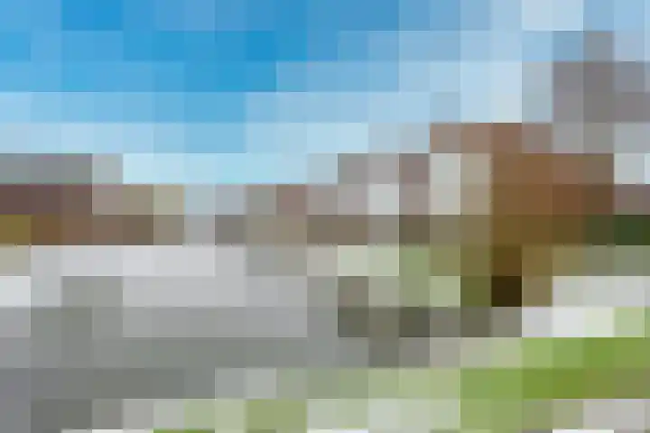 IJsselpolder 43 Houten thumbnail 48