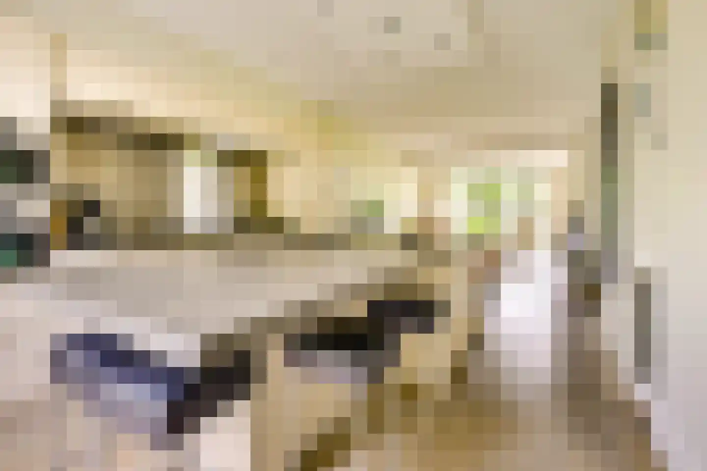 IJsselpolder 6 Houten thumbnail 10