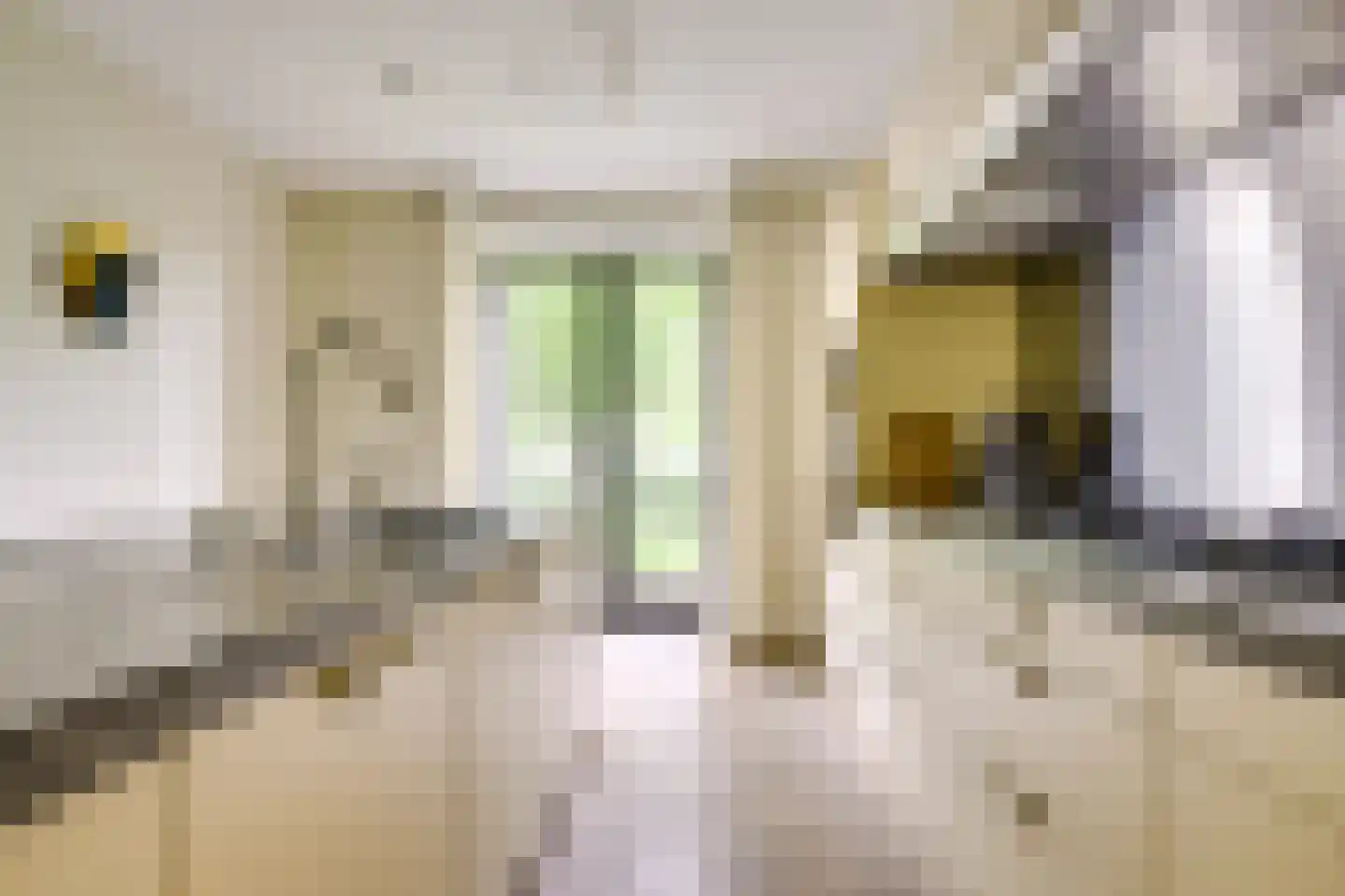 IJsselpolder 6 Houten thumbnail 11