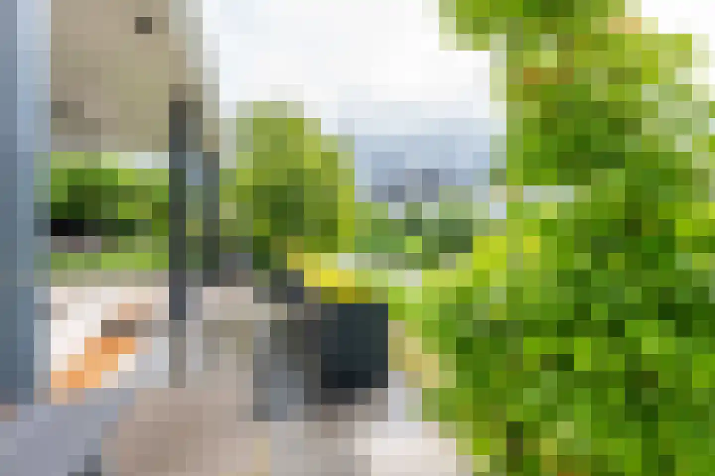 IJsselpolder 6 Houten thumbnail 28