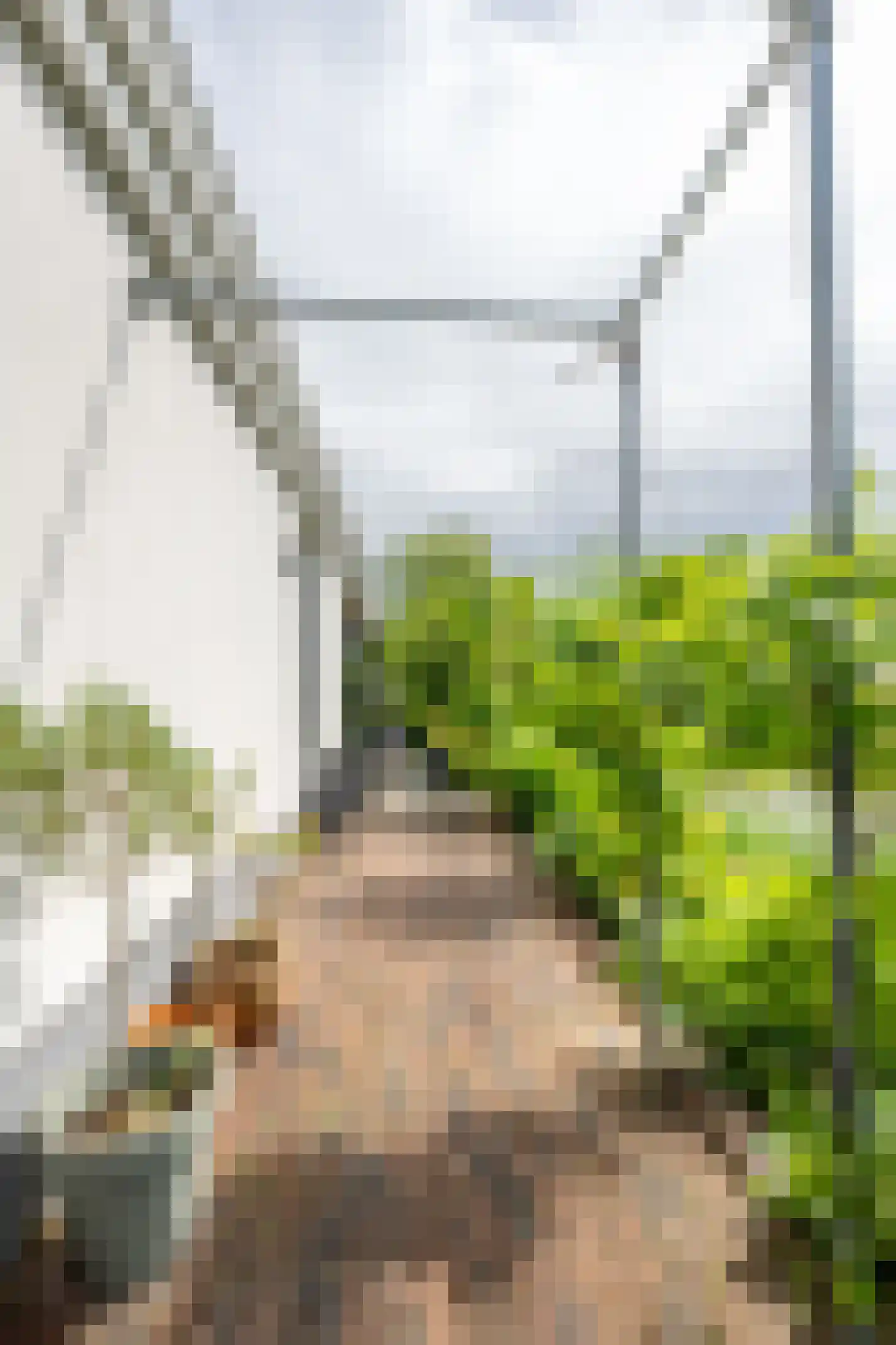 IJsselpolder 6 Houten thumbnail 29