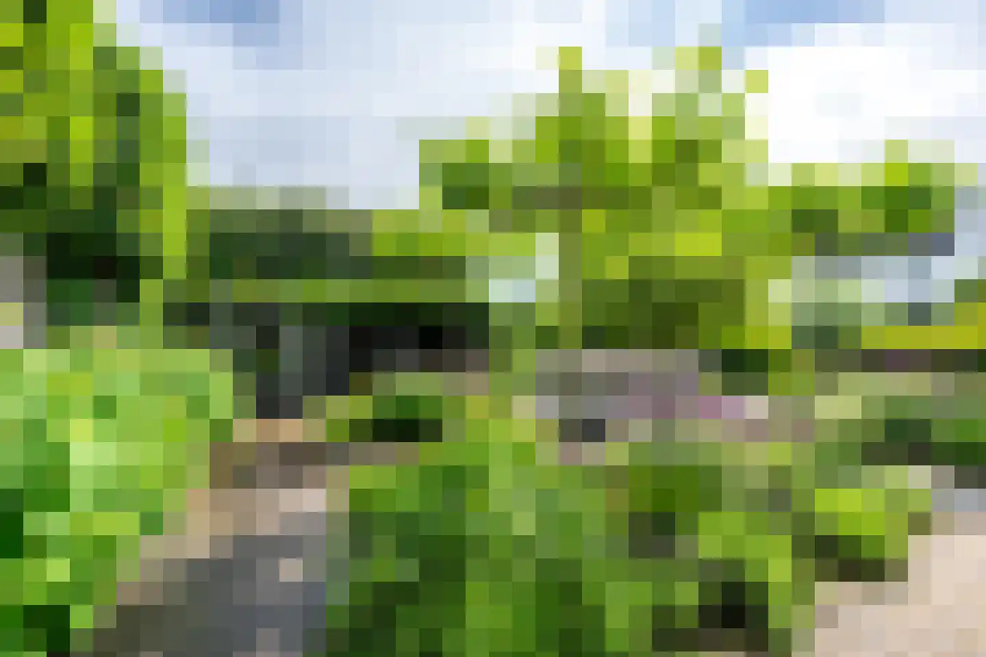 IJsselpolder 6 Houten thumbnail 35