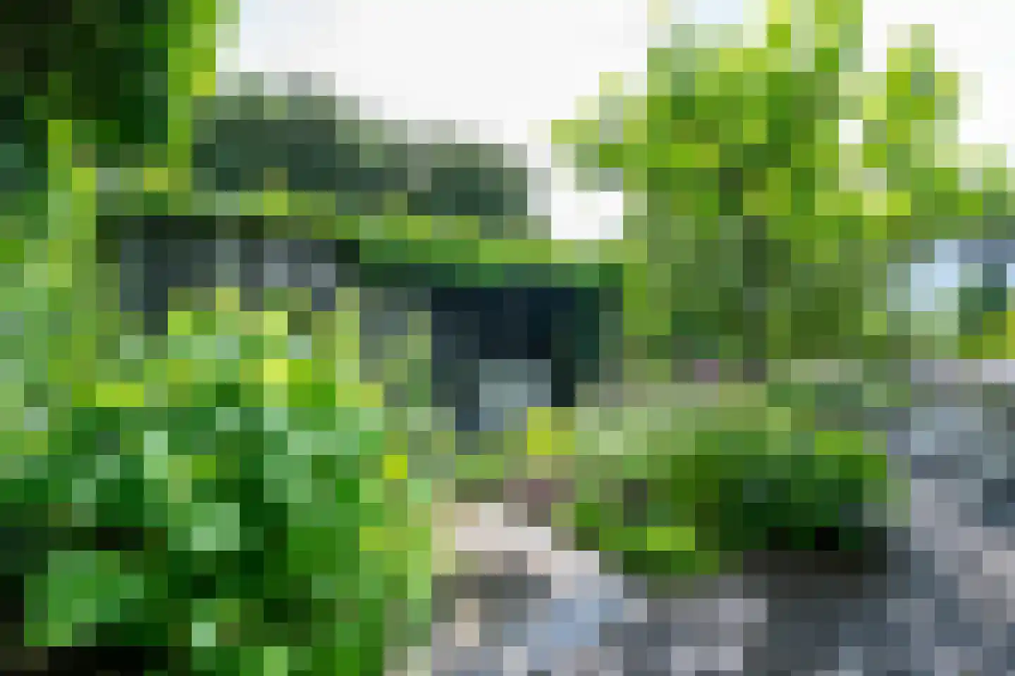 IJsselpolder 6 Houten thumbnail 36