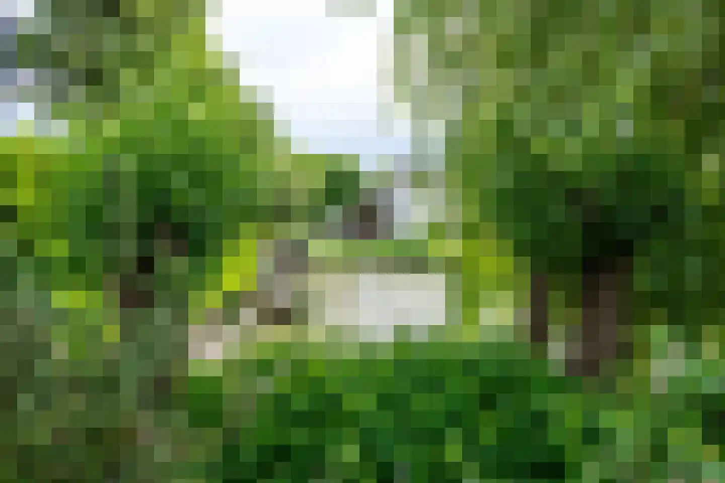 IJsselpolder 6 Houten thumbnail 39