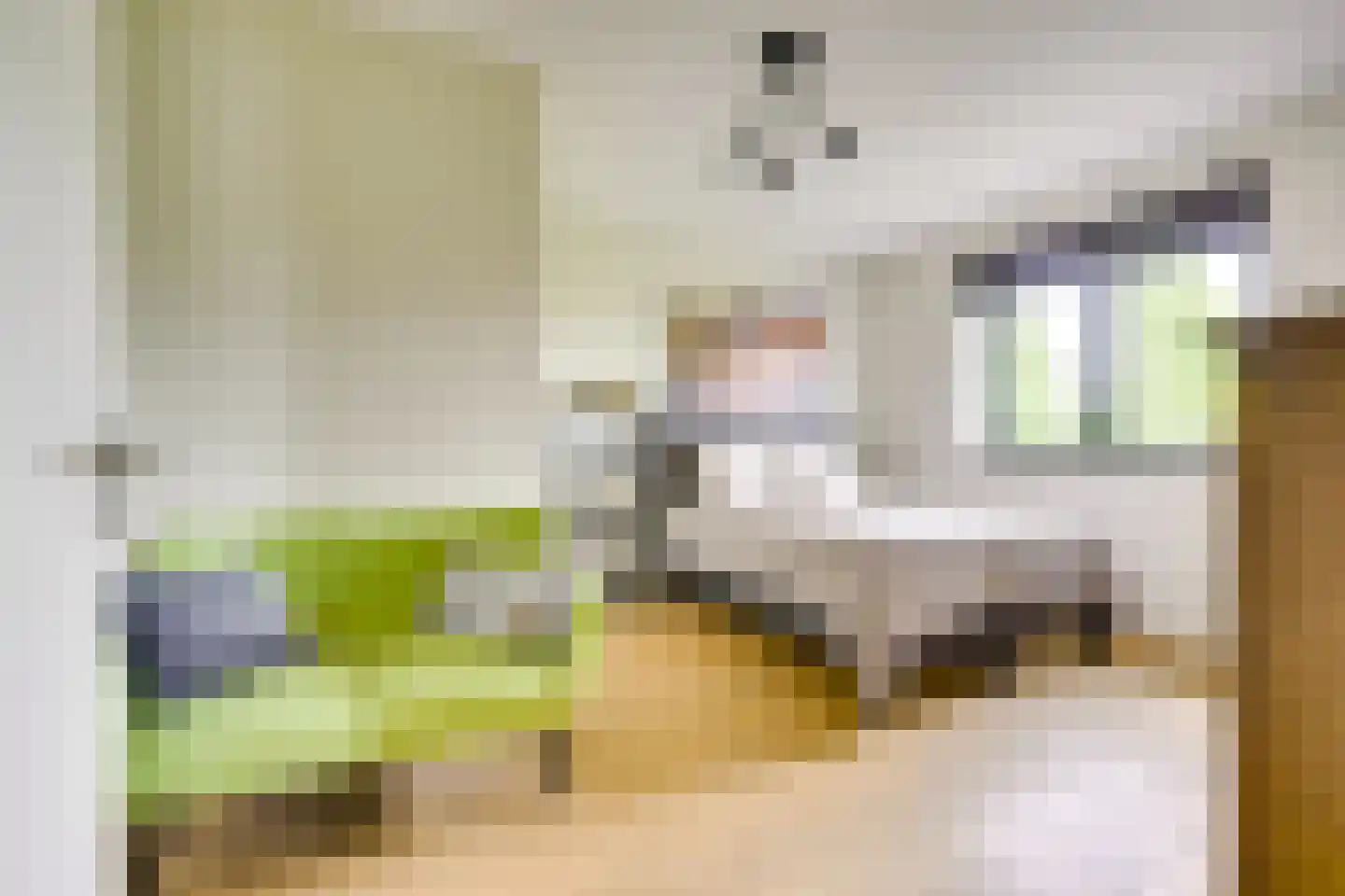 IJsselpolder 6 Houten thumbnail 50
