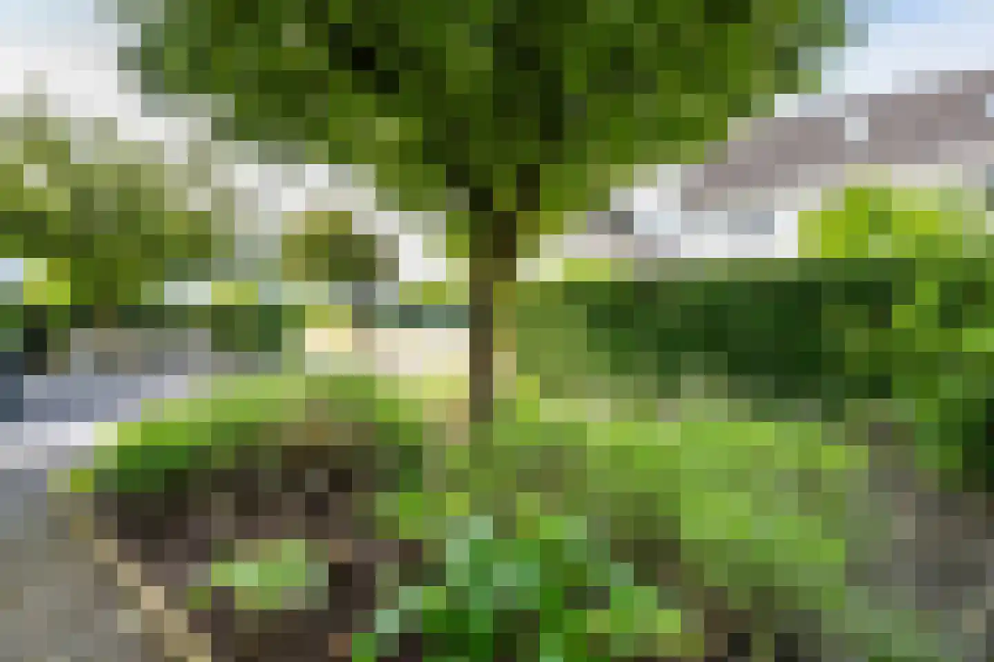 IJsselpolder 6 Houten thumbnail 70