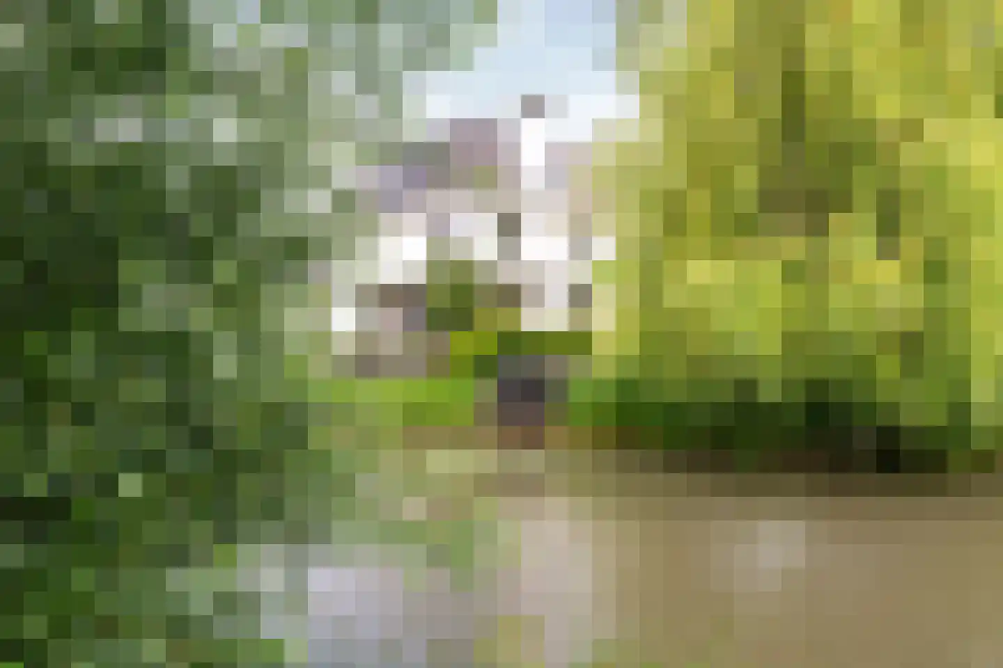 IJsselpolder 6 Houten thumbnail 75