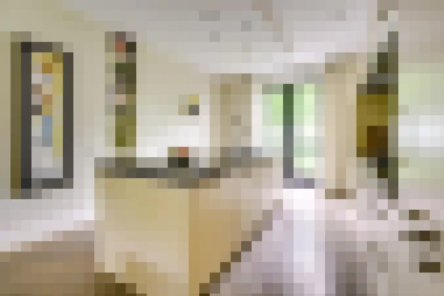 IJsselpolder 6 Houten thumbnail 9