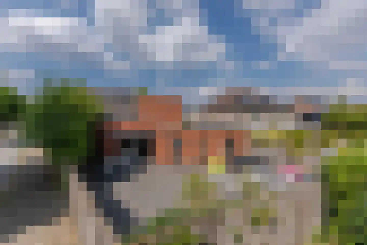 IJsselrust 39 Westervoort thumbnail 36