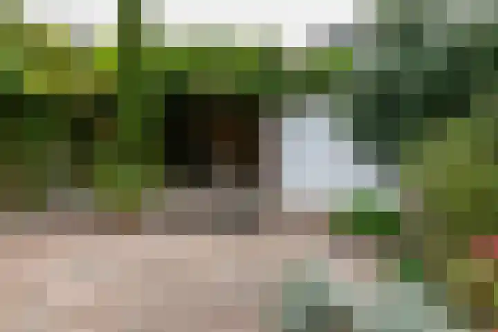 IJsselsingel 178 Rheden thumbnail 23