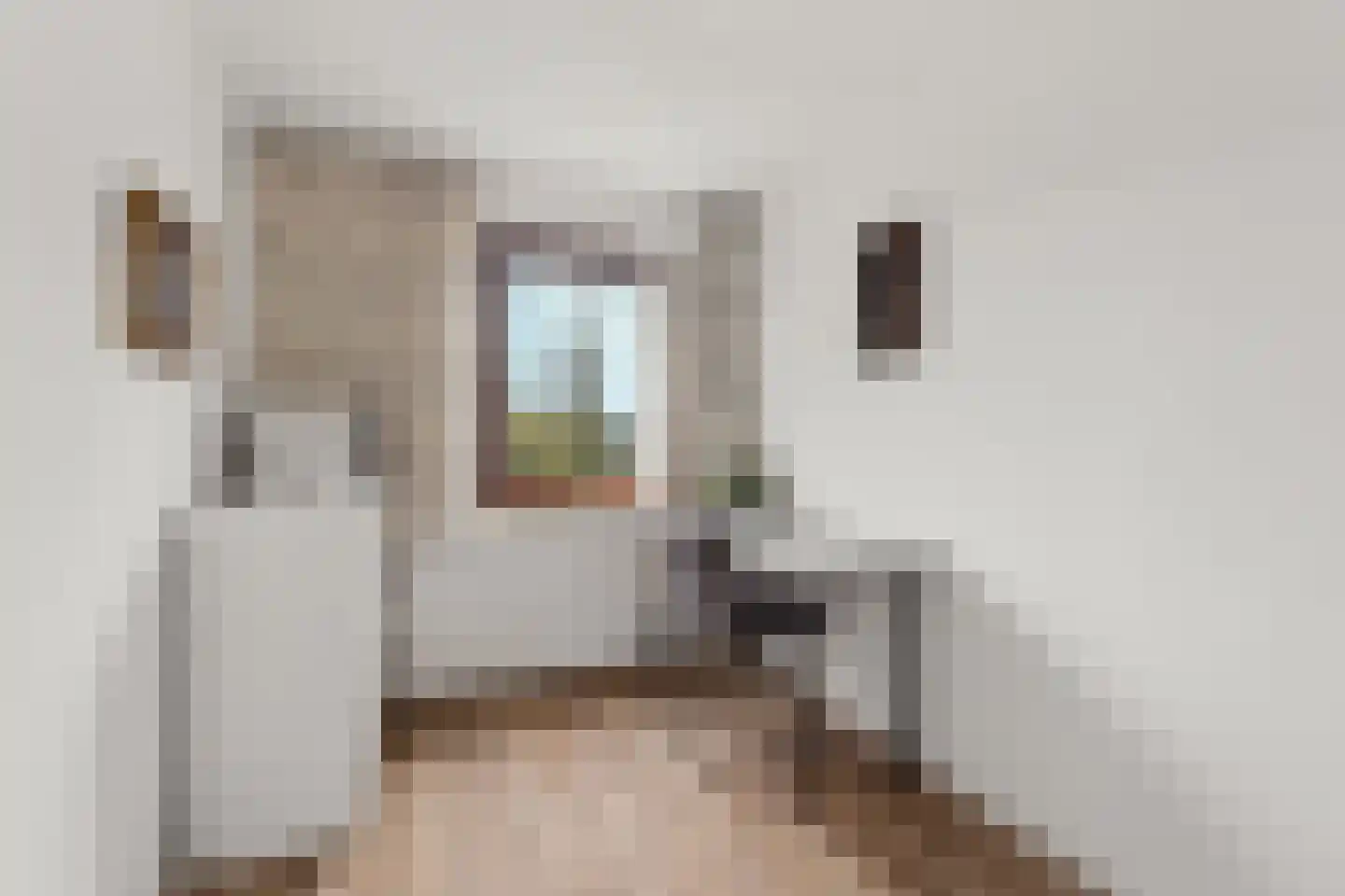 IJsselsingel 184 Rheden thumbnail 19