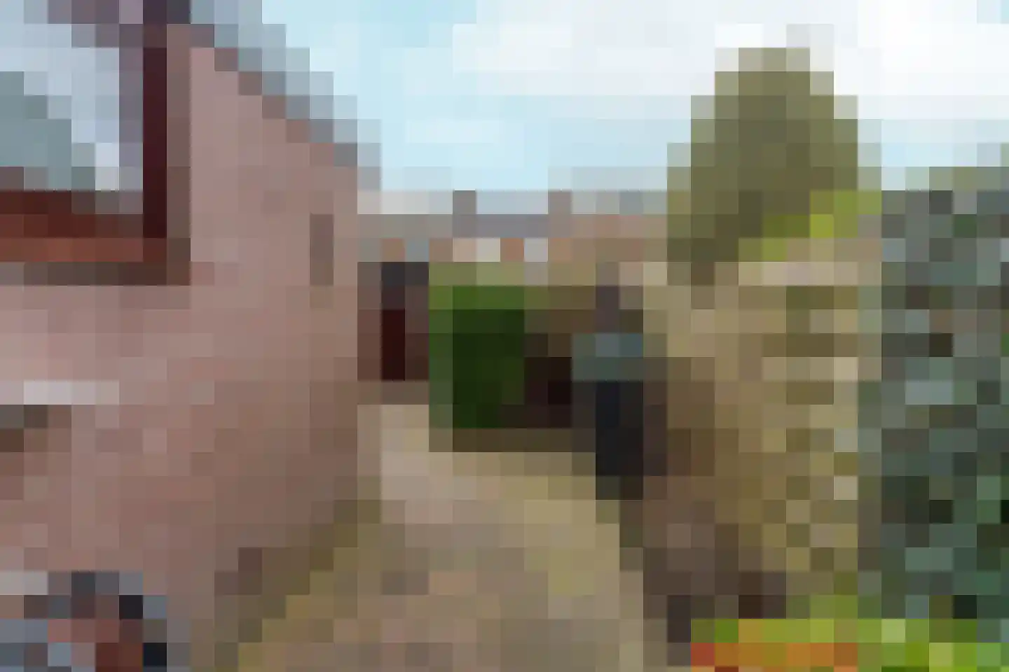 IJsselsingel 184 Rheden thumbnail 32