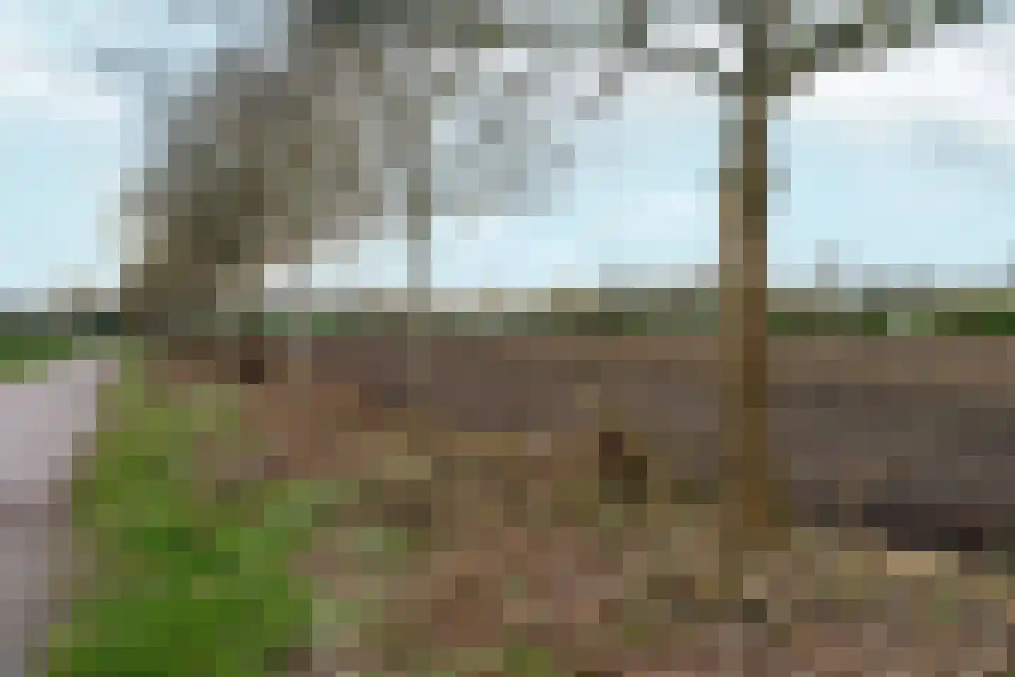 IJsselsingel 184 Rheden thumbnail 41