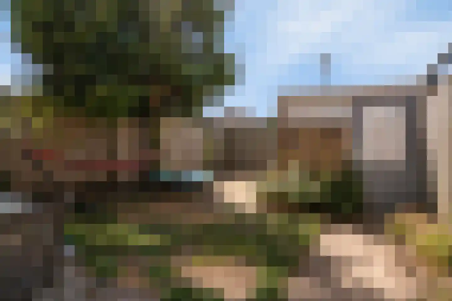 IJsselsingel 34 's-Hertogenbosch thumbnail 24