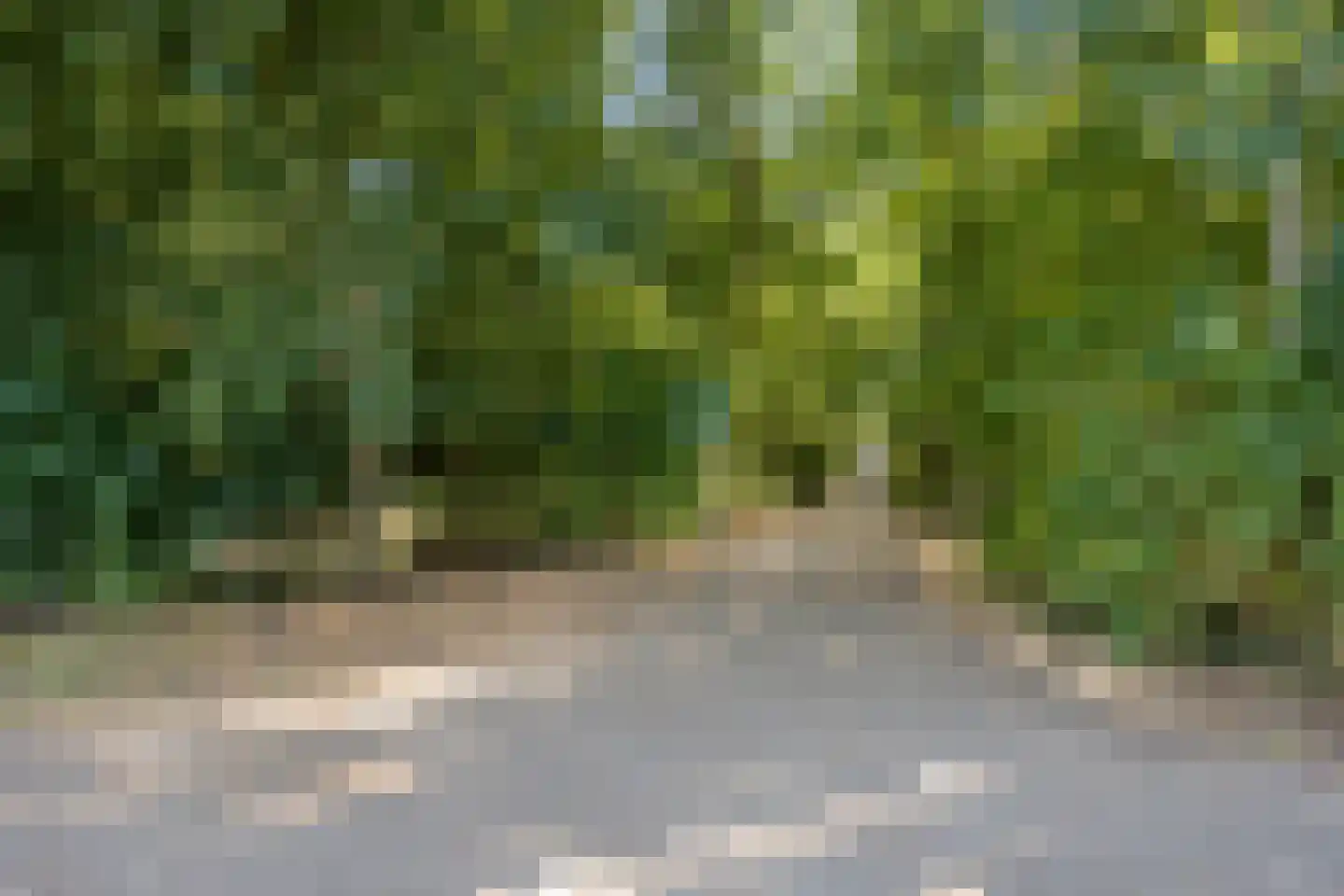 IJsselsingel 34 's-Hertogenbosch thumbnail 29
