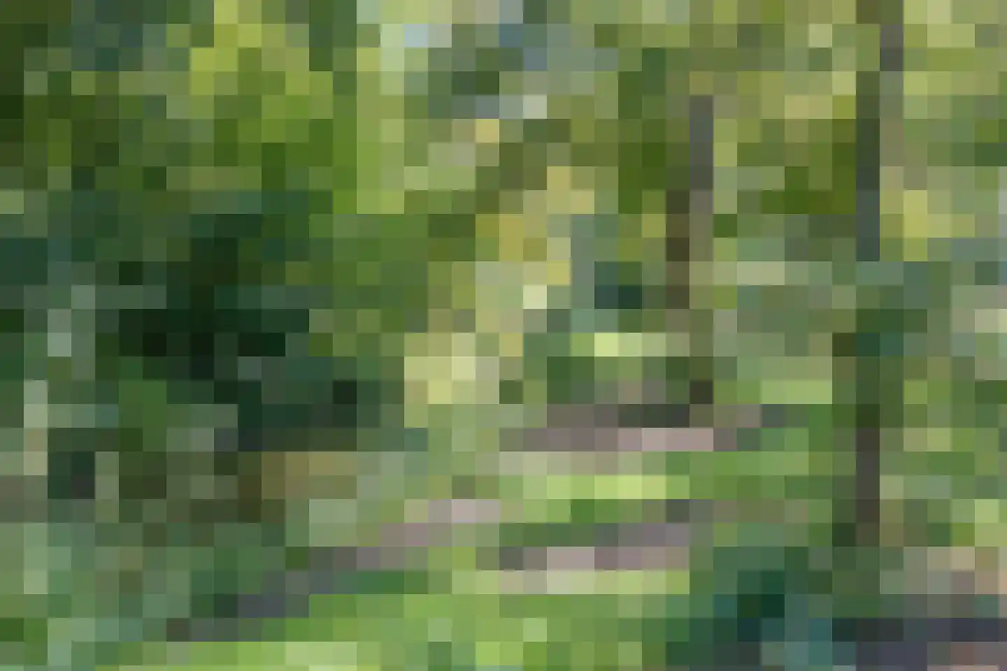 IJsselsingel 34 's-Hertogenbosch thumbnail 30