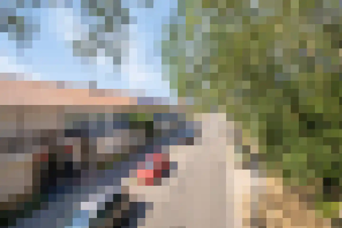 IJsselsingel 34 's-Hertogenbosch thumbnail 32